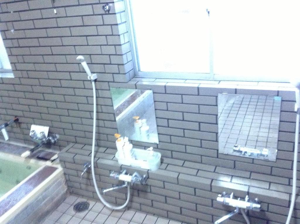 Araya Ryokan Hakuba Exterior foto